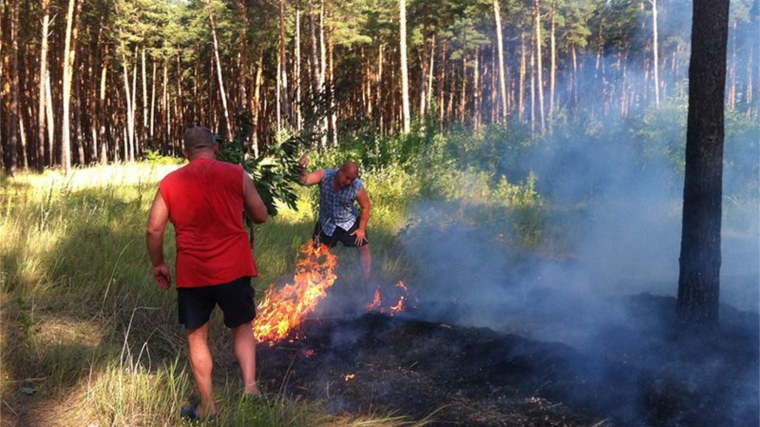 Как потушить небольшой пожар в лесу