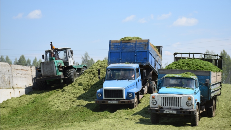 В Красночетайском районе ведутся кормозаготовительные работы