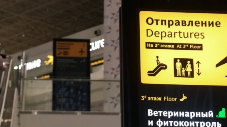 В России готовят ужесточение для авиакомпаний. Чего ждать пассажирам?