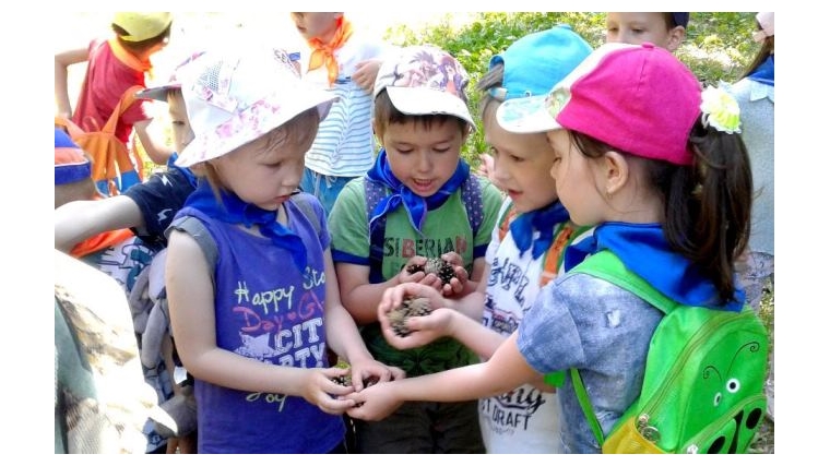 Чебоксарские дошкольники приобщаются к экологической культуре