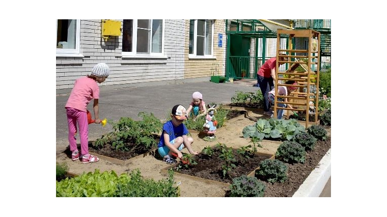В чебоксарских детских садах дети прививаются к труду