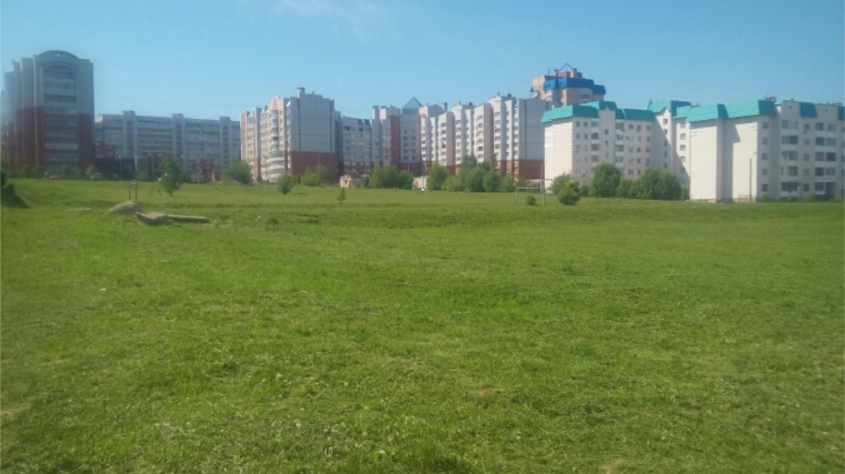 Московский район: завершается второй этап покоса травы