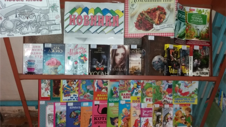 Пихтулинская сельская библиотека приглашает читателей за новыми книгами
