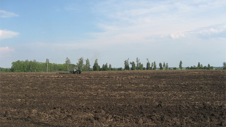 В агрофирме «Дружба» Ибресинского района проводится работа по подготовке почвы для сева озимых культур