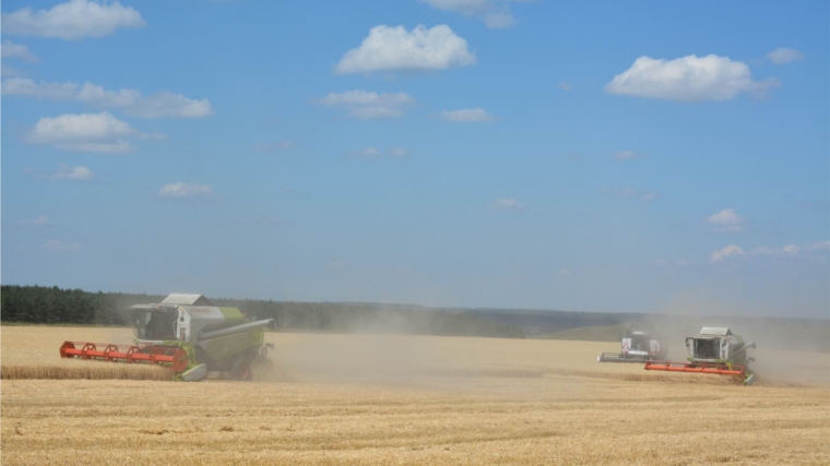В Вурнарском районе обмолочено 38,4% площади зерновых и зернобобовых культур