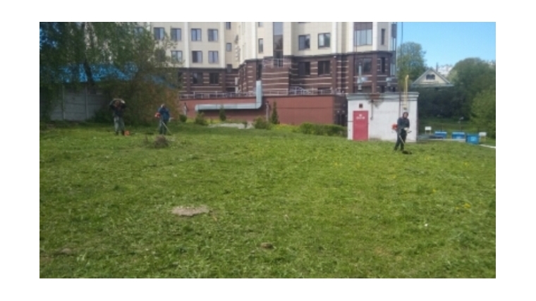 Московский район: начался 4-ый этап покоса травы