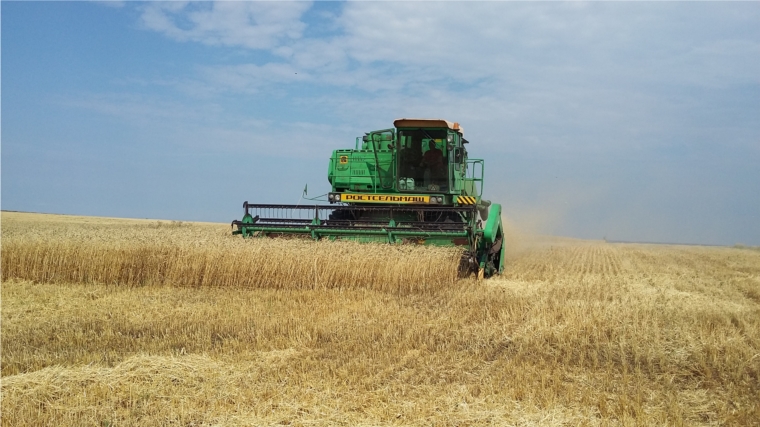 В хозяйствах Шемуршинского района намолочено 10 241 т зерна