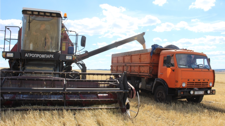 В Шемуршинском районе уборка зерновых и зернобобовых культур завершена на 56%