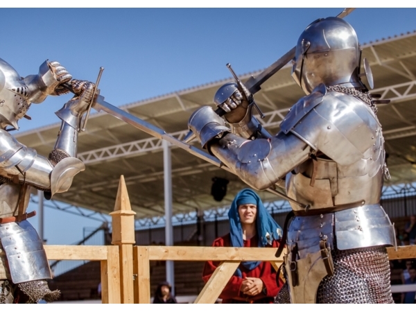Чебоксарские рыцари побывали на I Международном конном Фестивале в Москве ("Чебоксары.ру")