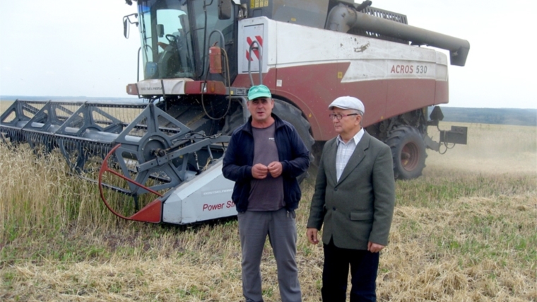 В агрофирме «Трудовик» Ибресинского района уборка зерновых культур близка к завершению