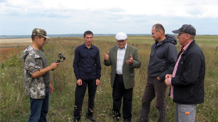 В агрофирме «Пионер» Ибресинского района уборка зерновых культур завершена