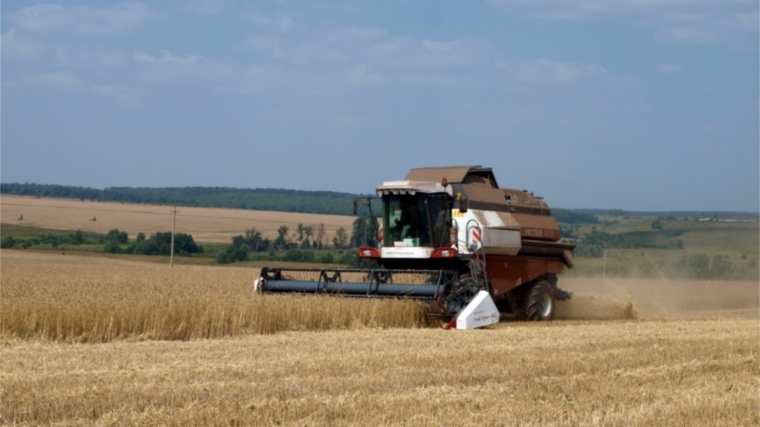 В Аликовском районе уборка зерновых выполнена на 99 %