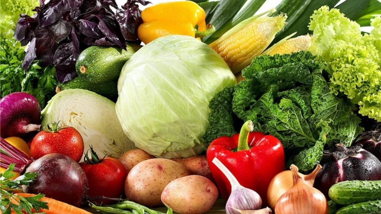 22 сентября ярмарка «Дары осени-2018» приглашает за свежими овощами