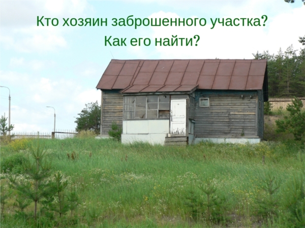 Кто хозяин заброшенного земельного участка? Как узнать? Кто хозяин заброшенного земельного участка? Как узнать?