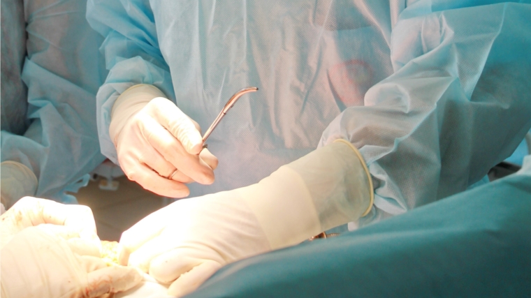 Чувашские врачи осваивают трансплантационные технологии в хирургии печени