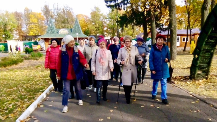 Каждую среду в парке им. А.Николаева проводятся спортивные разминки для ветеранов и пожилых людей!