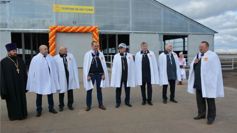Глава Чувашии Михаил Игнатьев принял участие в открытии нового телятника на 2000 голов на территории Малдыкасинской молочно-товарной фермы