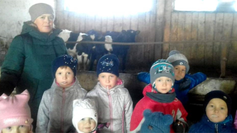 Для детей дошкольной группы «Улыбка» МБОУ «Большебуяновская ООШ» была организована экскурсия на молочно-товарную ферму