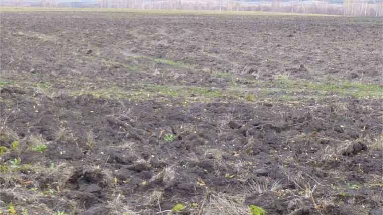 О вовлечении земель в сельскохозяйственный оборот на территории Ульяновской области