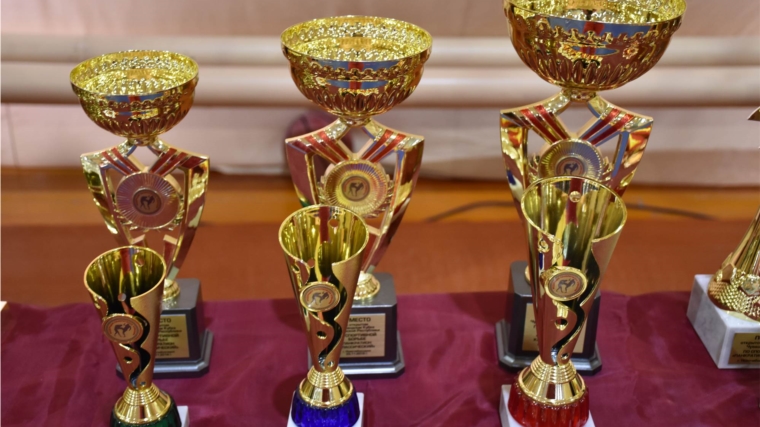 Спортсмены спортивной школы приняли участие в Кубке Чувашской Республики по панкратиону