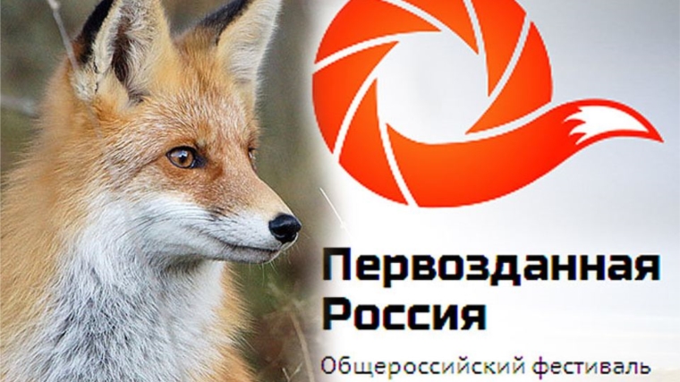 В Чебоксарах состоится фестиваль экологического кино «Первозданная Россия»
