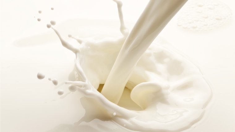 Закупочная цена на молоко от населения повысилась