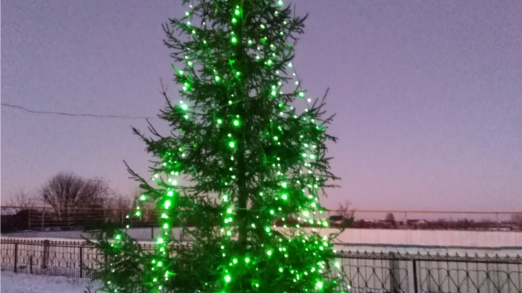 В деревне Большое Буяново засверкала новогодняя елка