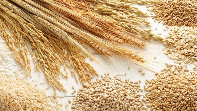 Минсельхоз России: на 30 ноября собрано 116,5 млн тонн зерна