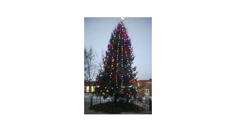 В центре села установили новогоднюю елку