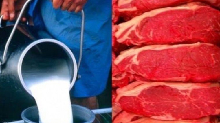 Фермерские хозяйства республики в 1,3 раза увеличили производство мяса, в 1,2 раза – молока