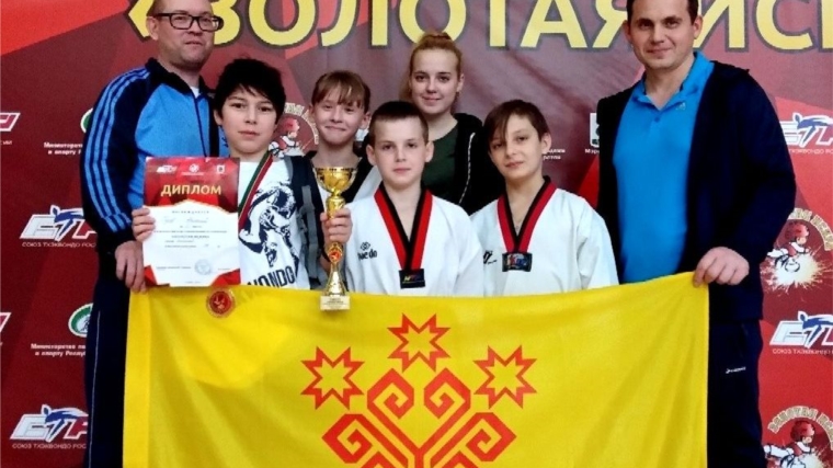 Спортсмены Чувашии – победители и призеры Всероссийского турнира по тхэквондо «Золотая Искра»