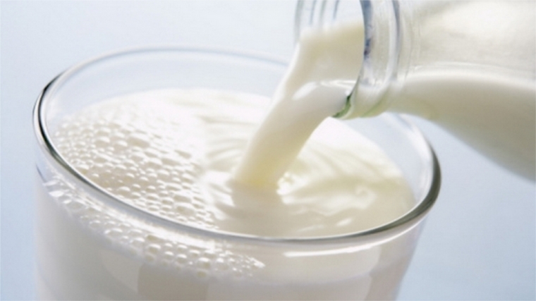 В Янтиковском и Батыревском районах наблюдается рост закупочных цен на молоко