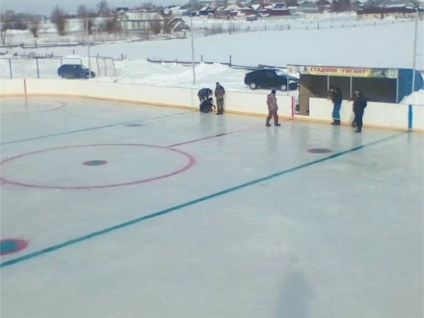 24 февраля 2019 т.г. на хоккейном стадионе «Гигант» в д. Полевые Инели состоится хоккейный матч между женскими командами