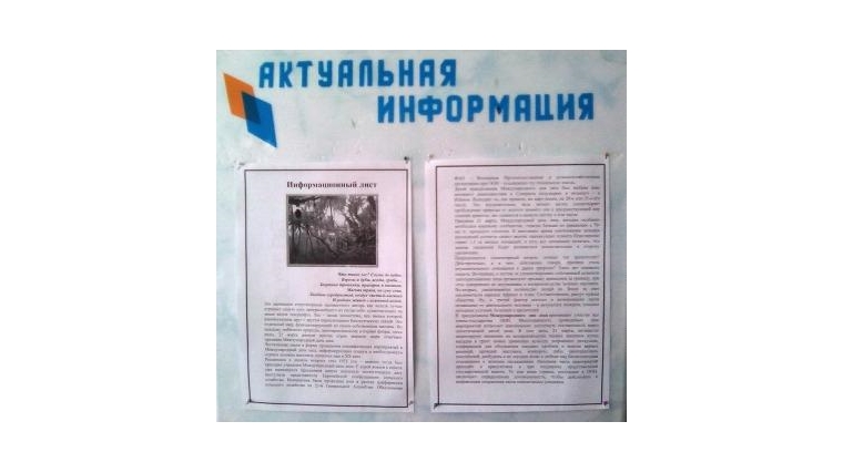 Кудеихинская сельская библиотека выпустила информационный лист «Лес – наше богатство»