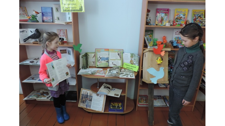 Экологический час «Пернатые питомцы» в Малотаябинской сельской библиотеке