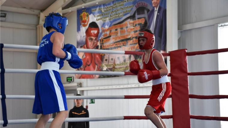 В Аликовском районе завершился XXII республиканский традиционный турнир по боксу на призы главы администрации