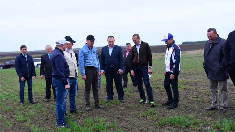 Глава Чувашской Республики Михаил Игнатьев ознакомился с ходом посевных работ в Ибресинском районе