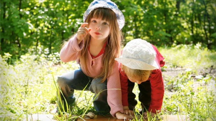 Рекомендации для родителей по предупреждению отравлений ядовитыми растениями и грибами