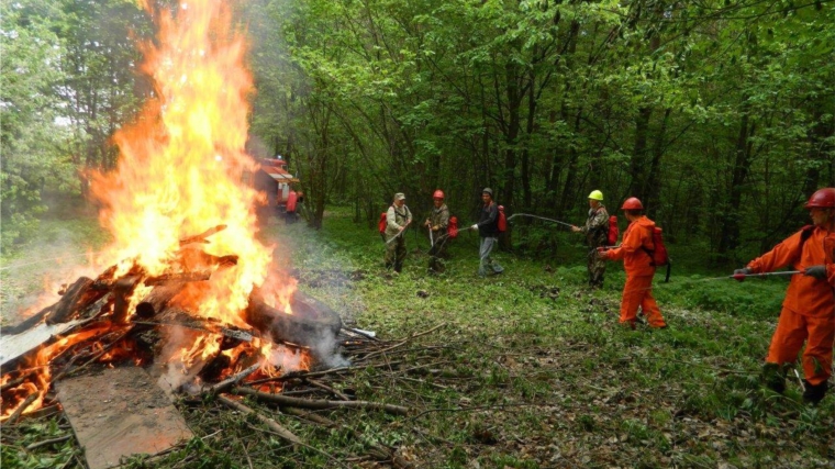 В лесничествах Чувашии проводятся тактико-специальные учения по тушению лесных пожаров