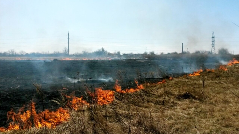 С начала весны в Чувашии произошло 112 случаев возгорания сухой травы