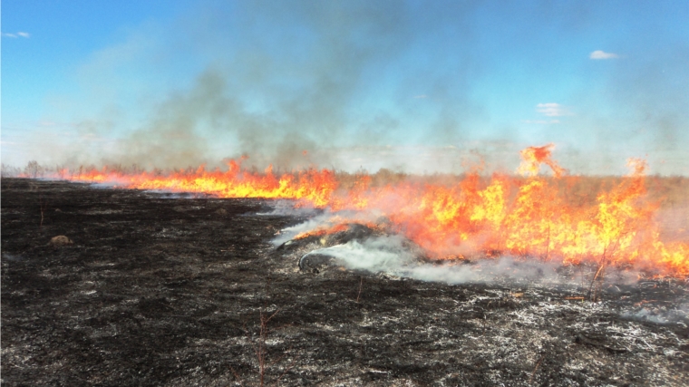 С начала весны в Чувашии произошло 119 случаев возгорания сухой травы