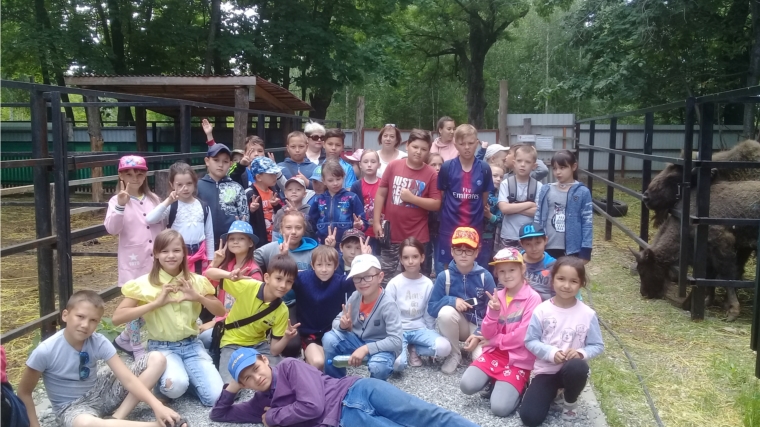 26 июня 2019г, пришкольный лагерь «Актерский балаганчик» посетил зоопарк в Ельниковской Роще