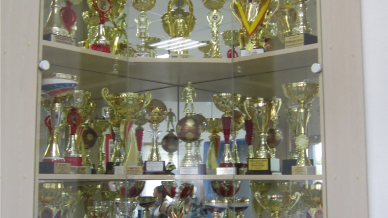 В Полевосундырском СДК установлен стенд для спортивных кубков