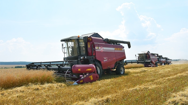 Уборка зерновых и зернобобовых культур идет в хозяйствах 18 муниципальных районов республики