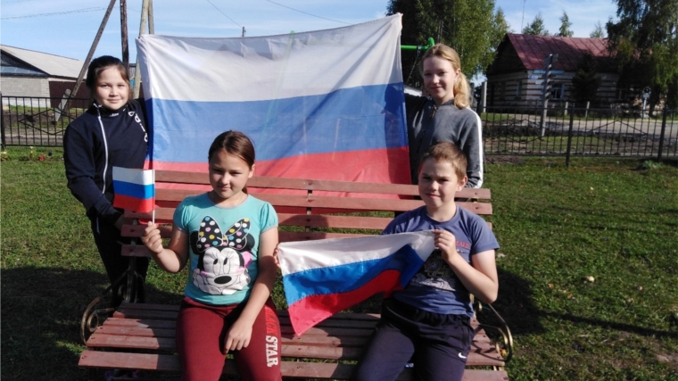 В Кивсерт-Янишевском сельском клубе провели познавательный час "Флаг наш- символ доблести и народной гордости"