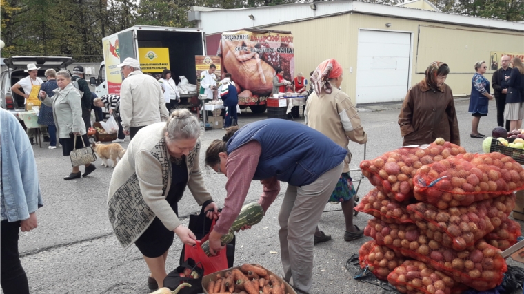 На рынках городов и районных центров республики разворачиваются ярмарки "Дары осени - 2019"