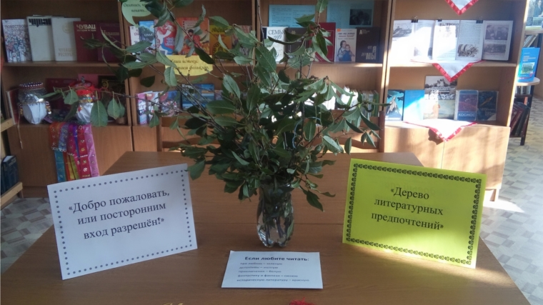 День открытых дверей в Таушкасинской сельской библиотеке