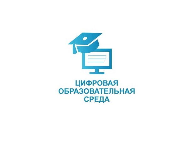 В 2022 году на реализацию проекта «Цифровая образовательная среда» Чувашия получит более 523 млн. рублей