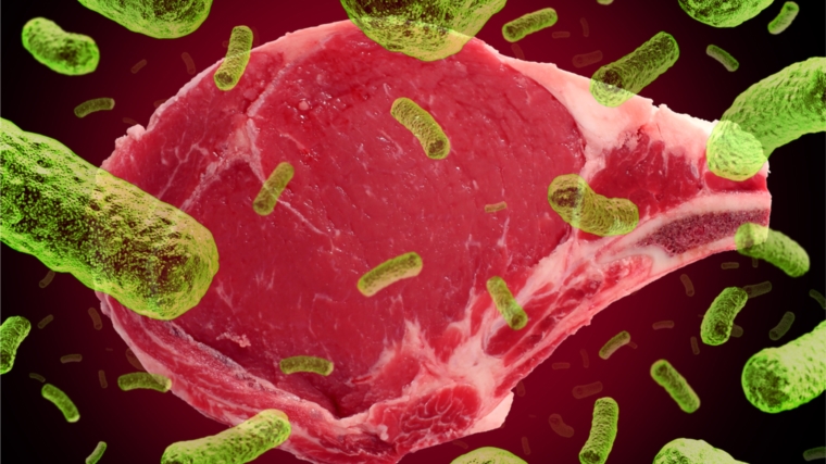 Микробиологическая безопасность мяса и мясопродуктов