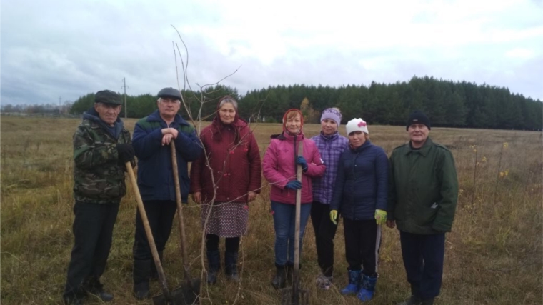 В Первомайском сельском поселении состоялась очередная акция "Посади дерево и сохрани его"